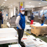 Japofish Mercavalencia