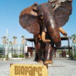 Báscula Baxtran Bioparc Valencia Mercabalanza