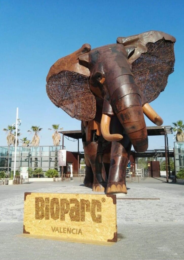 Báscula Baxtran Bioparc Valencia Mercabalanza